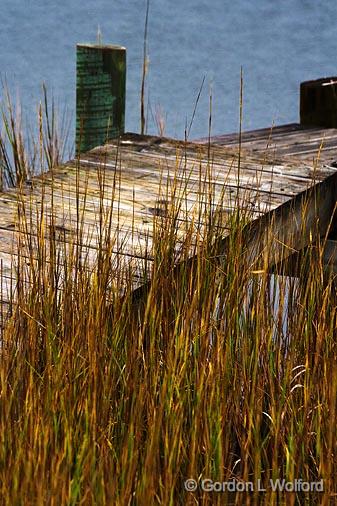 Tall Grass_28262.jpg - Photographed near Port Lavaca, Texas, USA.